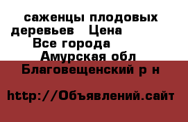 саженцы плодовых деревьев › Цена ­ 6 080 - Все города  »    . Амурская обл.,Благовещенский р-н